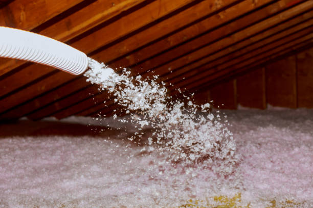 Best Attic Insulation Installation  in Norris, TN